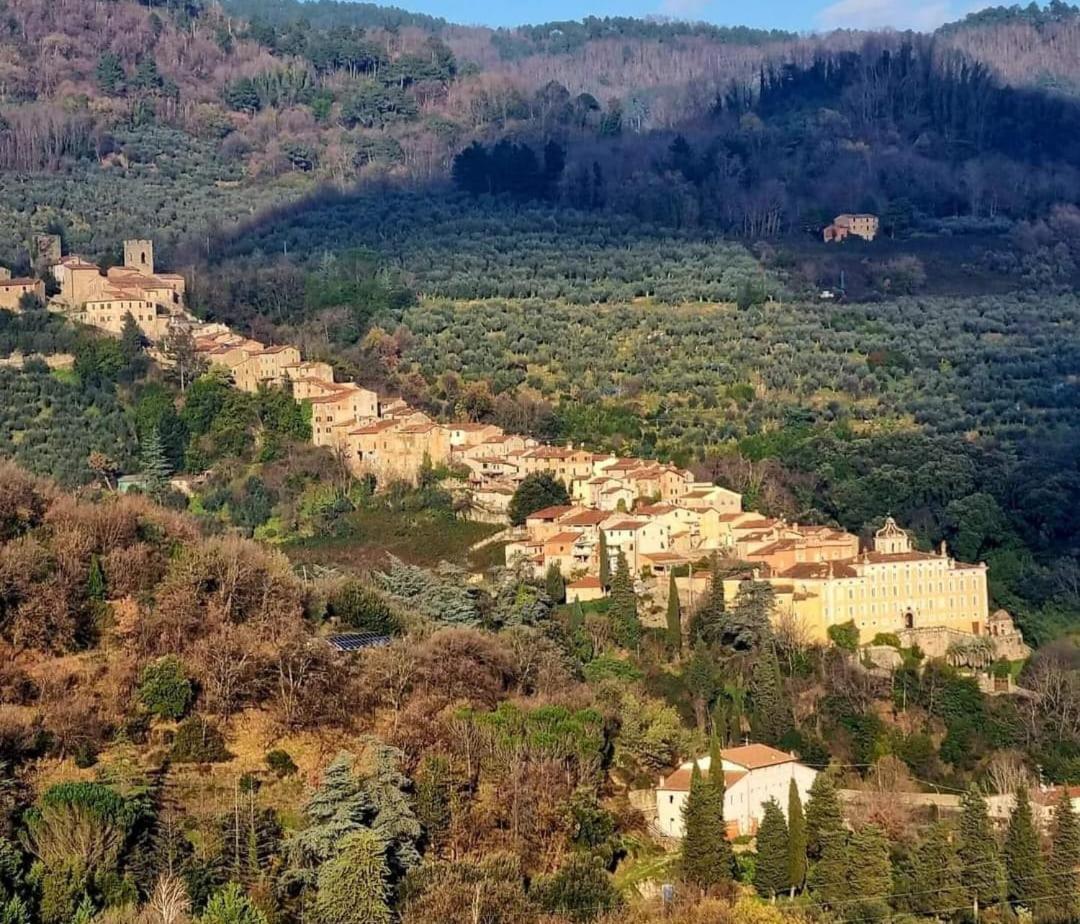 Bed and Breakfast A Collodi Io & Mamma100 M Dal Parco Di Pinocchio Exterior foto